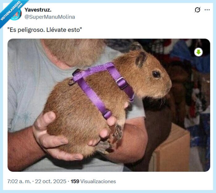 peligroso,fuera,llevar