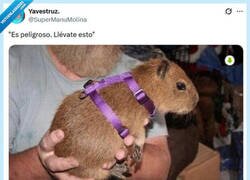 Enlace a Por lo que pueda pasar por @supermanumolina