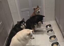 Enlace a Esto es compañerismo, por @444triste