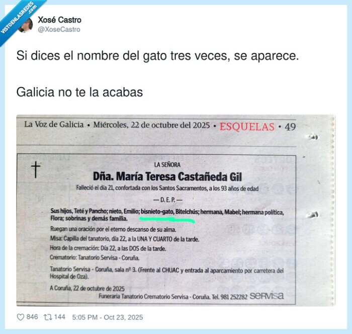 esquela,gato,bisnieto,bitelchus