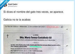 Enlace a ¿El gato habrá heredado el sillón más cómodo?, por @XoseCastro