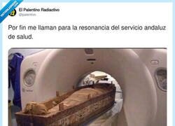 Enlace a Solo han tardado 1500 años, por @palentivo