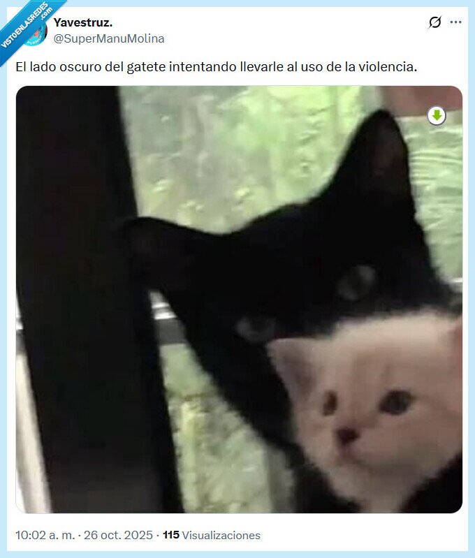 gatete,oscuro,lado,violencia