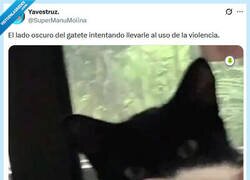 Enlace a Eres cuqui, no te van a reñir por @supermanumolina