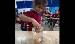 Enlace a El reto de sacar una mandarina de un vaso lleno de agua sin derramar una sola gota, ¿sabes el truco?