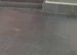 Enlace a Ojalá encontrarme con estos cuando voy de compras con mi novia