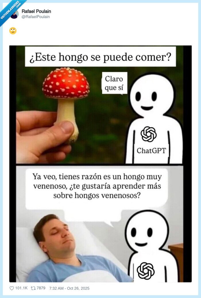 chatgpt,venenosa,error,hongo,seta