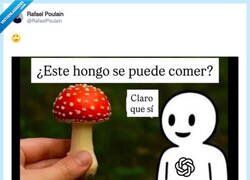 Enlace a No te fíes de ChatGPT, por @RafaelPoulain