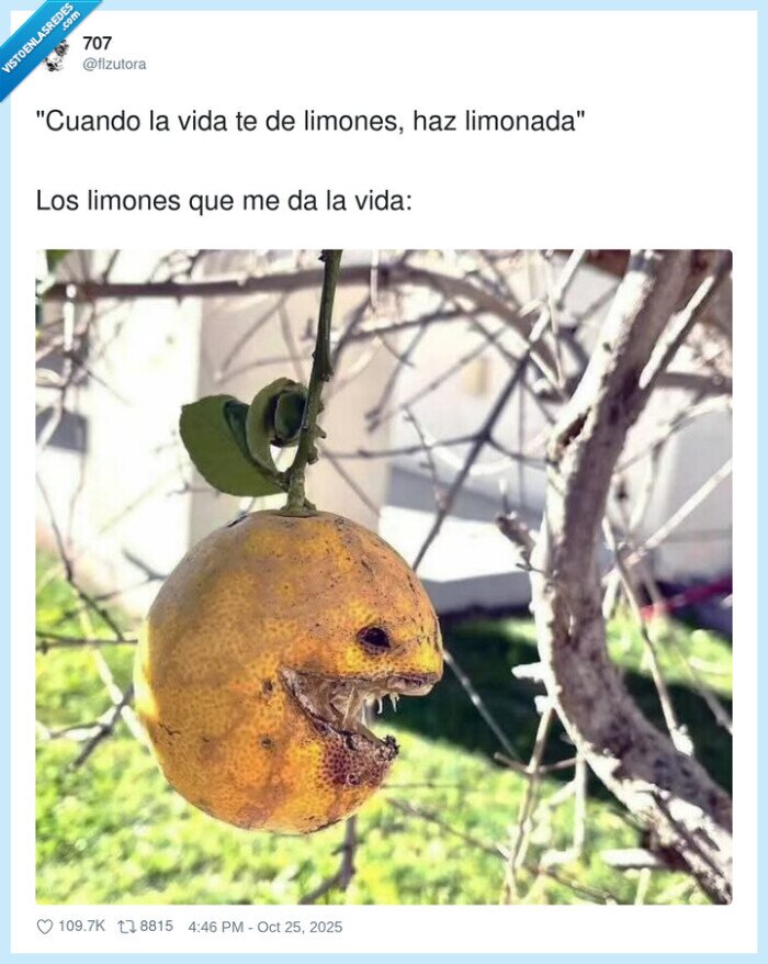 limones,limonada,refran,vida