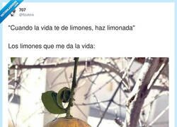 Enlace a Así no hay manera, por @flzutora