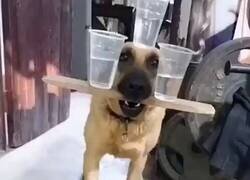 Enlace a Cuidado máximo, por @girIweeb