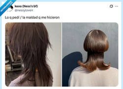 Enlace a ¿Cómo sales a la calle con semejante seta en la cabeza?, por @nessyloverr