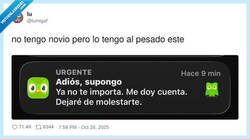 Enlace a El búho éste es el brasas por antonomasia, por @lumigaf