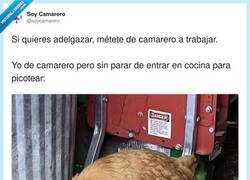 Enlace a Si mi madre fuese la cocinera, ya te hubiera cortado los dedos, por @soycamarero