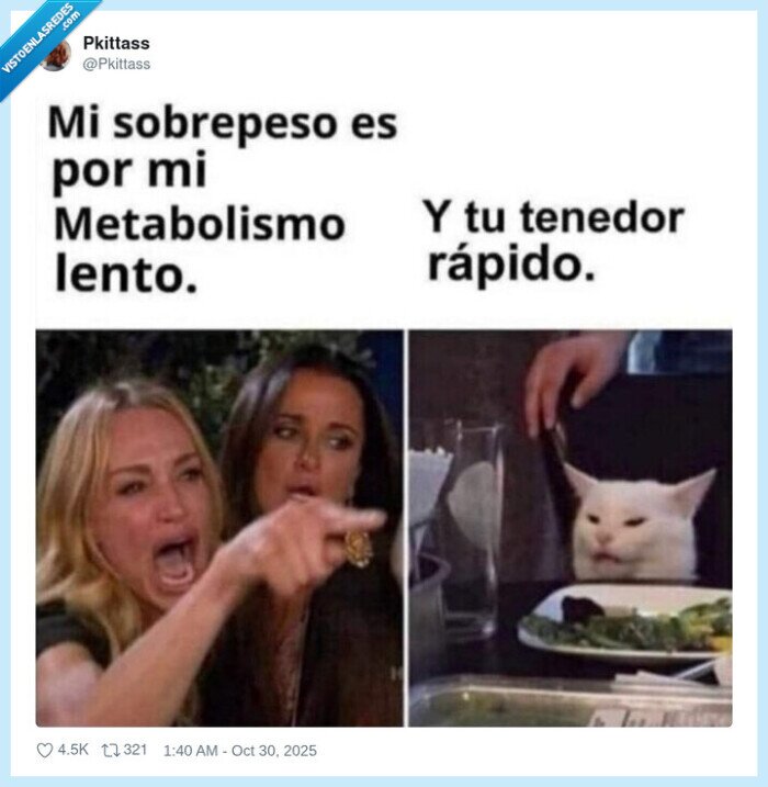 metabolismo,gorda,sobrepeso,tenedor,gato