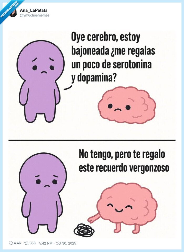 cerebro,recuerdo,vergüenza
