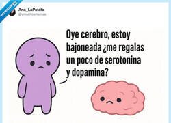 Enlace a ¿Puede ser que el cerebro sea el órgano más cabrón del cuerpo?