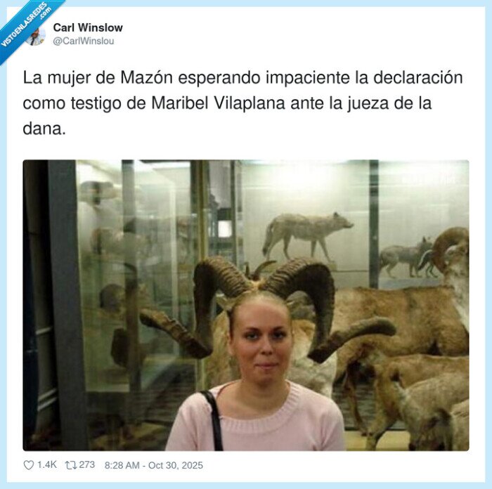 declaración,impaciente,cuernos,mazon,dana,testigo,maribel vilaplana