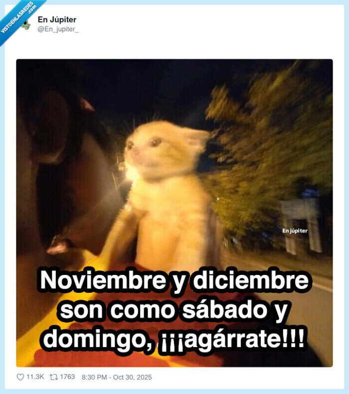 sábado,domingo,noviembre,diciembre