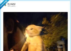 Enlace a Que empiece la fiesta, por @En_jupiter_