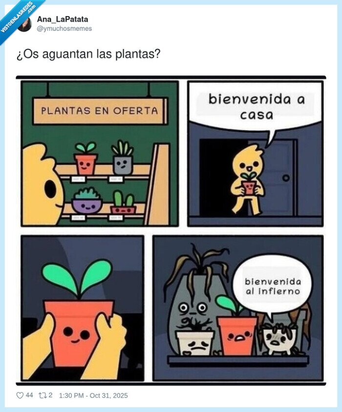 aguantan,plantas,dep