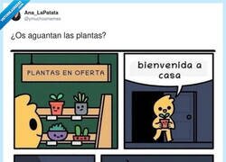 Enlace a Otra más directa a la muerte, por @ymuchosmemes