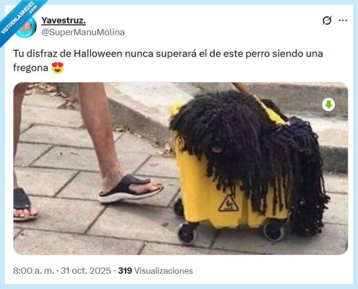 disfraz,perro,halloween,fregona
