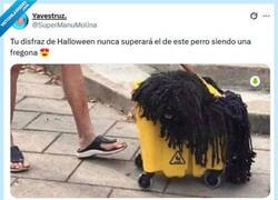 Enlace a Clavado por @supermanumolina