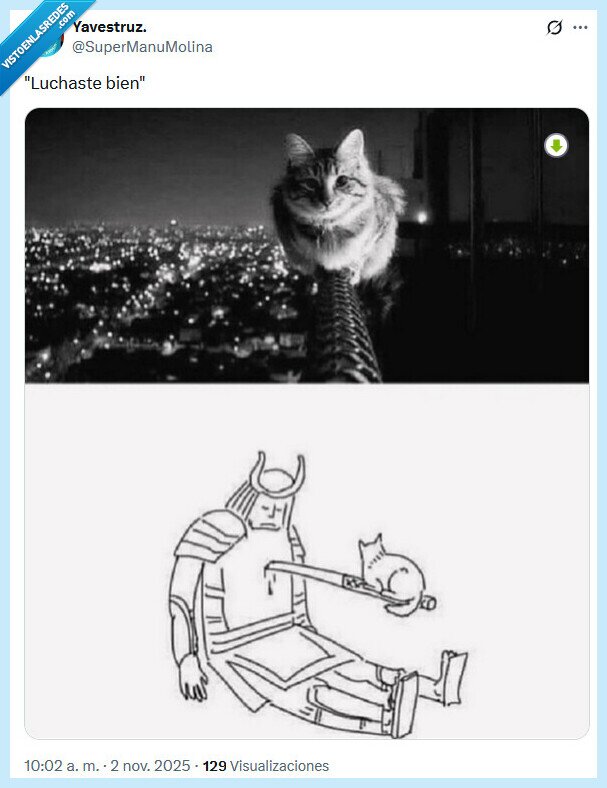 luchaste,bien,gato,samurai