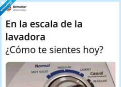 Enlace a Remojo, por @Memakker