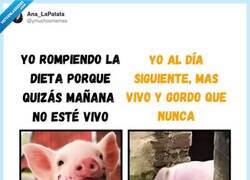 Enlace a Y así cada día, por @ymuchosmemes