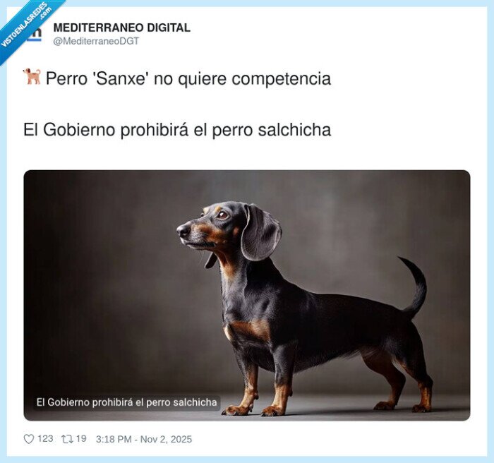 competencia,prohibir,gobierno,perro salchicha