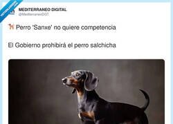 Enlace a Siempre pensando en la próxima forma de joder a los ciudadanos, por @MediterraneoDGT