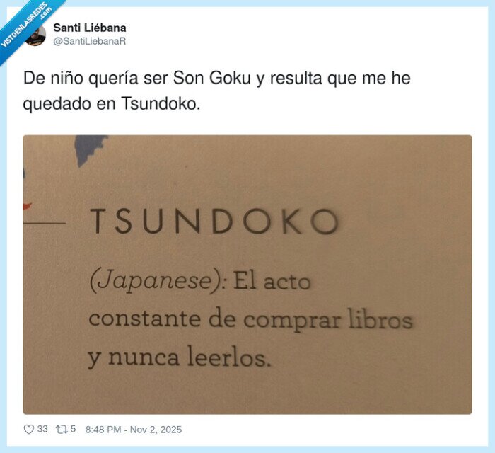 tsundoko,libros,niño,son goku