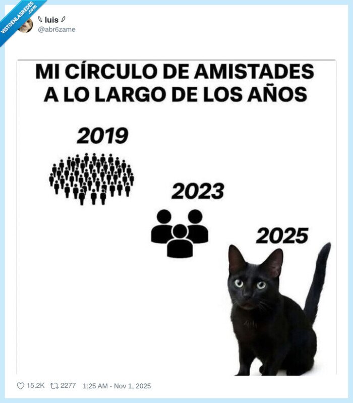 amistad,años,gato
