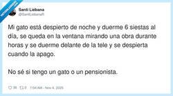 Enlace a Ojalá ser gato porque pensión no cobraré nunca, por @SantiLiebanaR