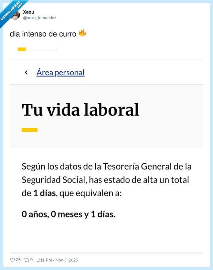 intenso,curro,vida laboral,1 día,ss