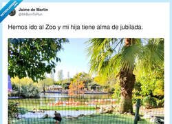 Enlace a Pensioncita y a vivir, por @MrBornToRun