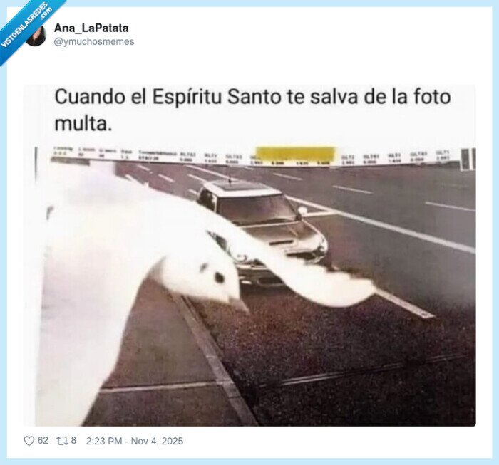 radar,paloma,matricula,captura