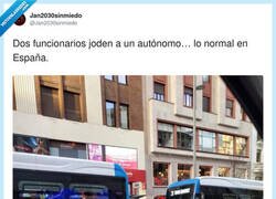 Enlace a No se podía definir mejor, por @Jan2030sinmiedo