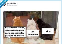 Enlace a Ya estás tardando, por @ymuchosmemes