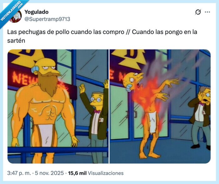 pechugas,sartén,compro,pollo,burns