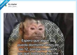 Enlace a Mi vida, por @En_jupiter_