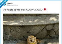 Enlace a Problemas de ser tan guapo, por @SuperManuMolina