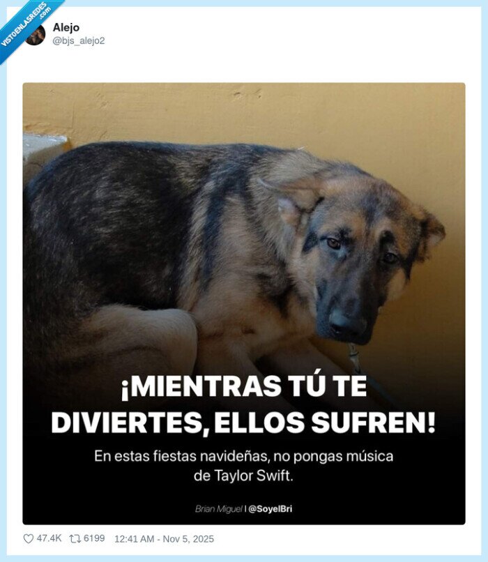 sufrir,perros,musica,taylor swift