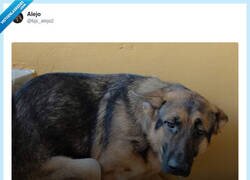 Enlace a Quien dice Taylor Swift, dice Quevedo, Rosalía, Aitana... por @bjs_alejo2