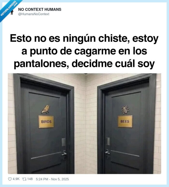 baños,puertas,pajaros,abejas