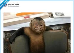 Enlace a Por eso hace rato que no digo nada, porque si hablo, la lío, por @skereunpesado