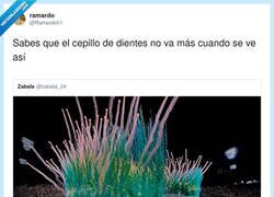Enlace a Cámbialo ya, guarro, por @Ramardoh1