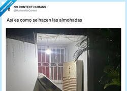 Enlace a Pillados in fraganti, por @HumansNoContext